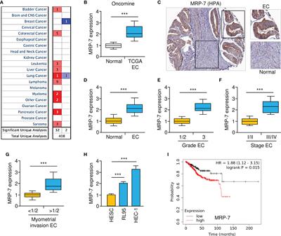 A Novel miR-98 Negatively Regulates the Resistance of Endometrial Cancer Cells to Paclitaxel by Suppressing ABCC10/MRP-7